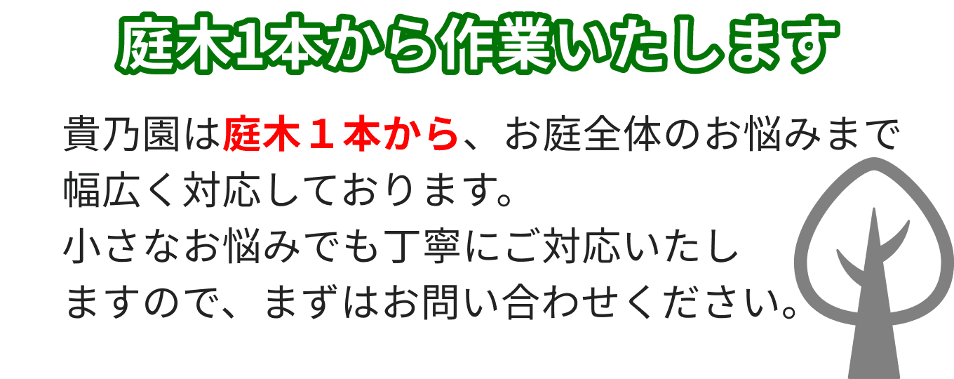 庭木一本から